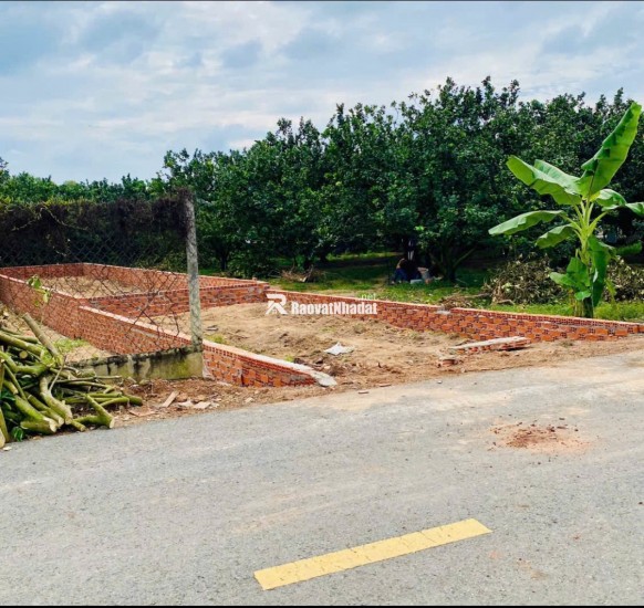  Bán đất vườn bưởi Trừ Văn Thố – Bàu Bàng | 250m² | Giá 965 triệu